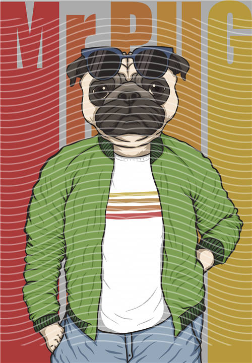 Street design-JT 4297